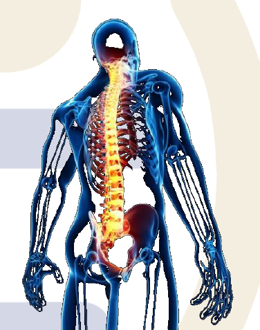 Paolo Scalzi Physio sport