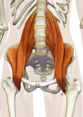 Paolo Scalzi Physio sport